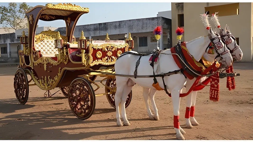 Horse rental service